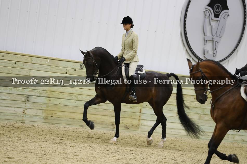 Proof 22R13_14218