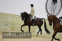 22R13_14218 proof