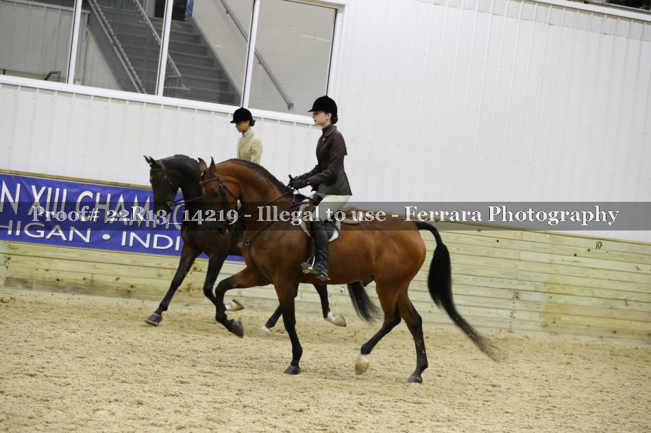 Proof 22R13_14219