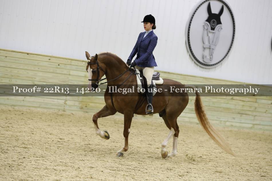 Proof 22R13_14220