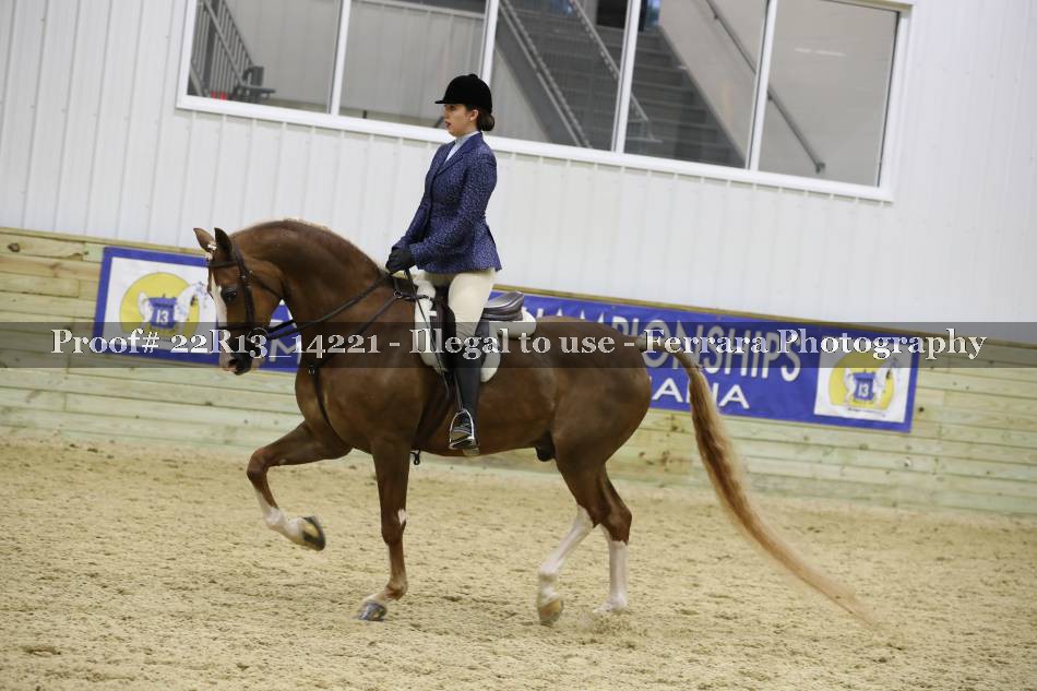 Proof 22R13_14221