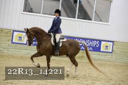 22R13_14221 proof