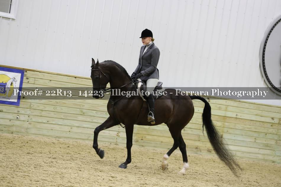 Proof 22R13_14223