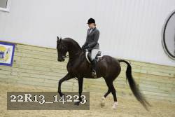 22R13_14223 proof