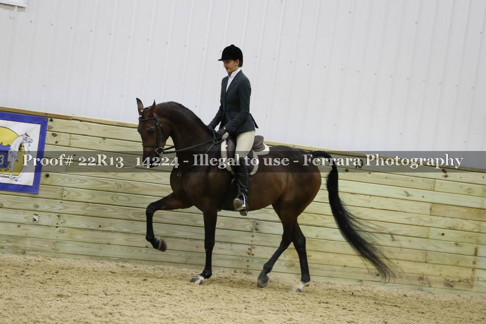 Proof 22R13_14224