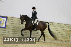 22R13_14224 proof