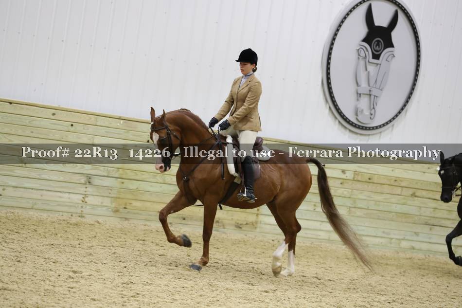 Proof 22R13_14226