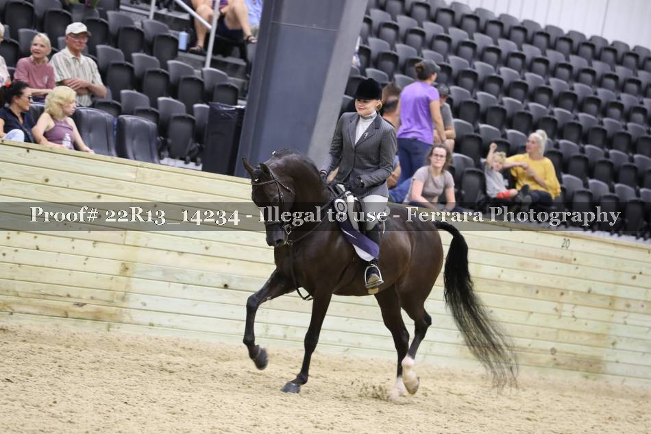 Proof 22R13_14234