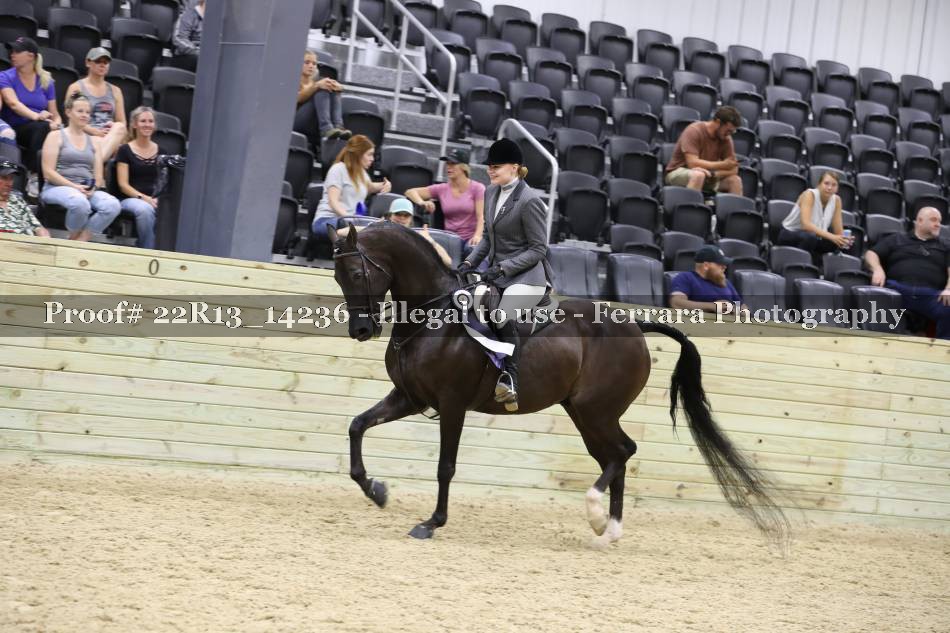 Proof 22R13_14236