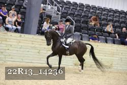 22R13_14236 proof