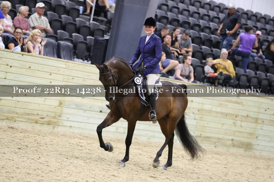 Proof 22R13_14238