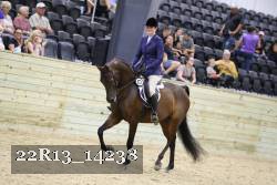 22R13_14238 proof