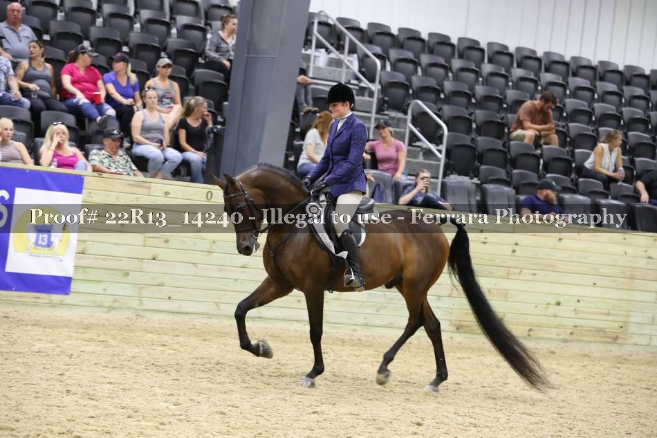 Proof 22R13_14240