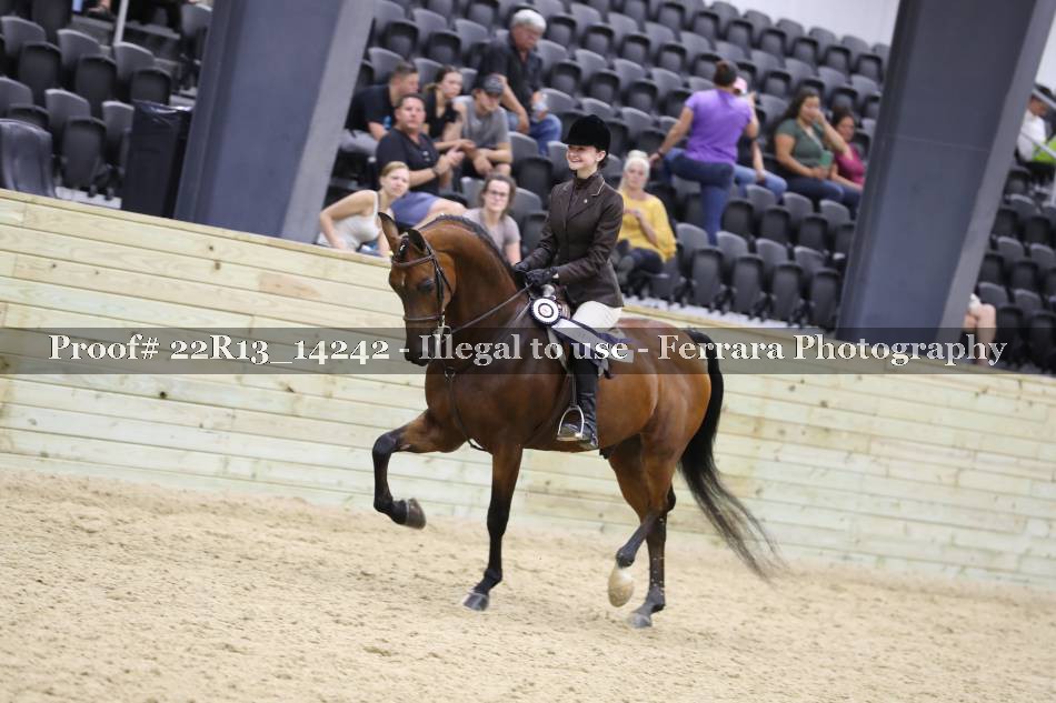 Proof 22R13_14242