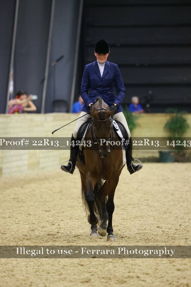 Proof 22R13_14243