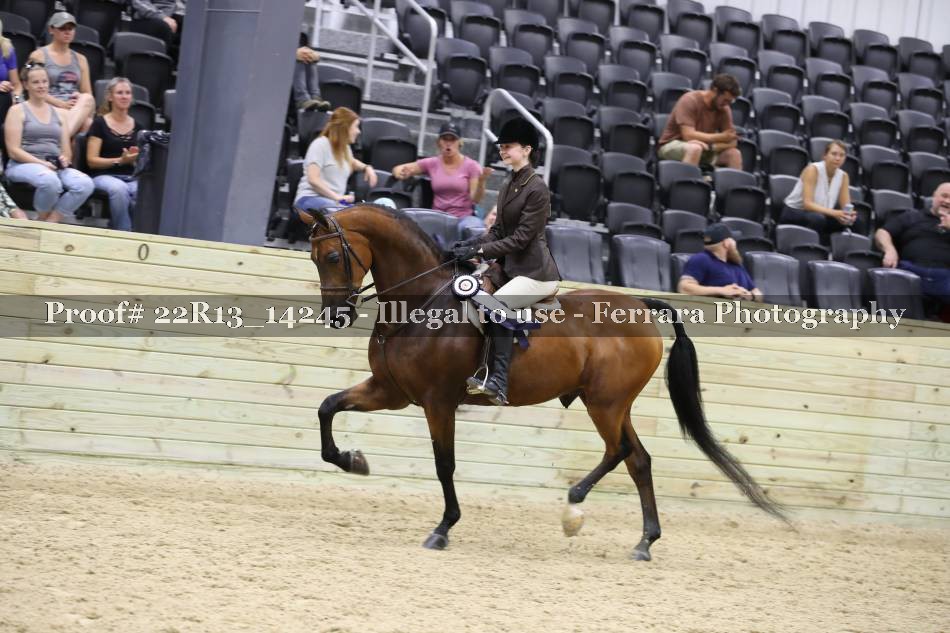 Proof 22R13_14245