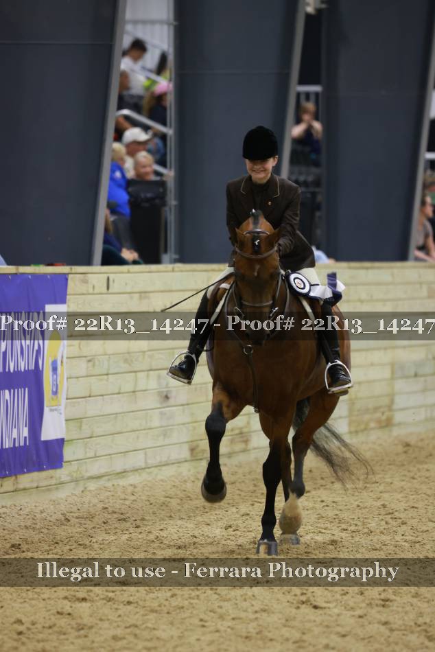 Proof 22R13_14247