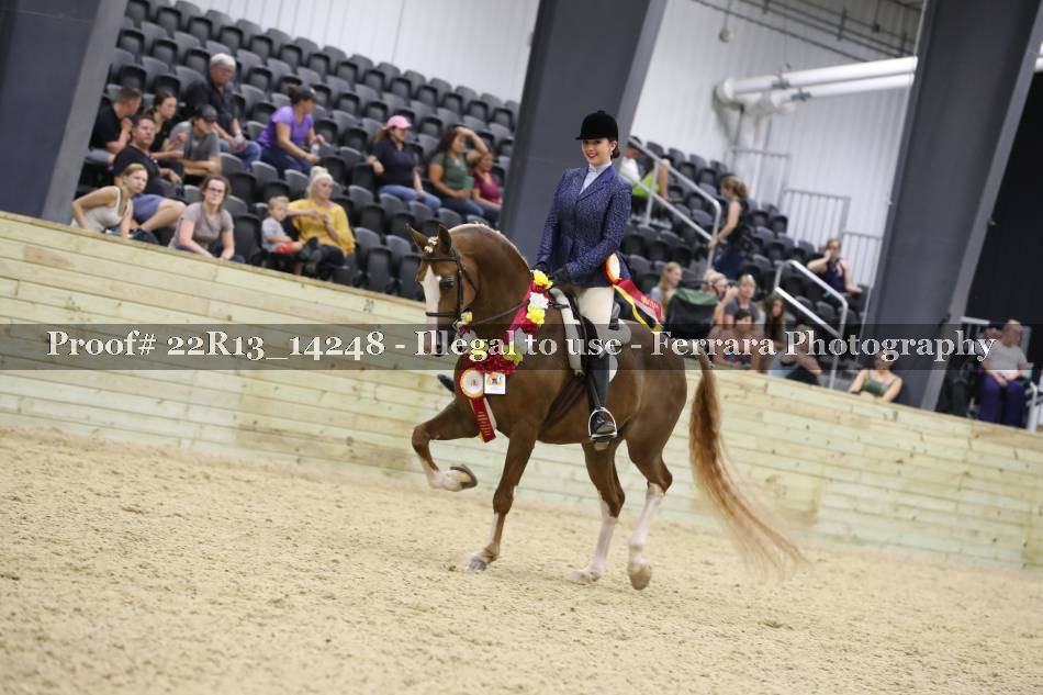 Proof 22R13_14248