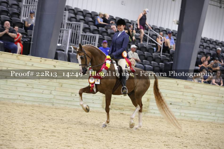 Proof 22R13_14249