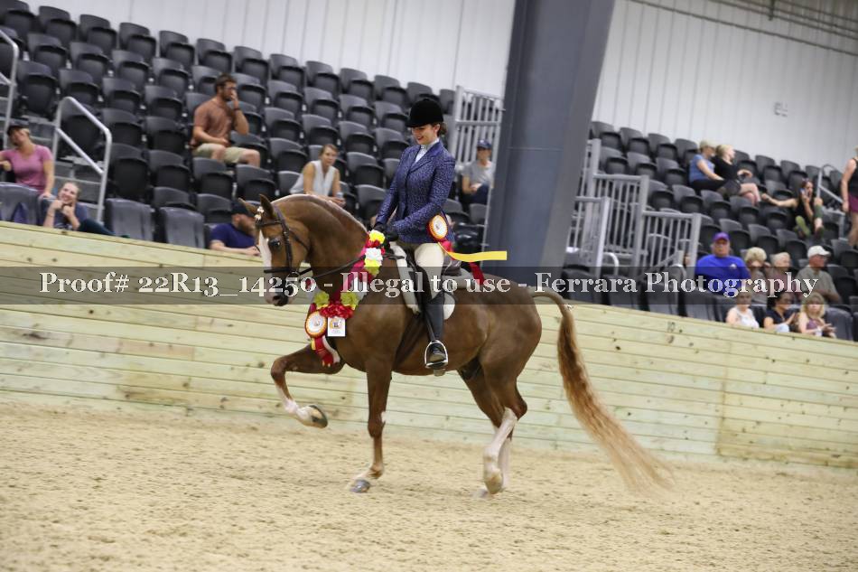 Proof 22R13_14250
