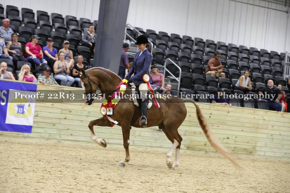 Proof 22R13_14251