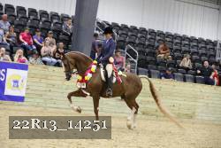 22R13_14251 proof