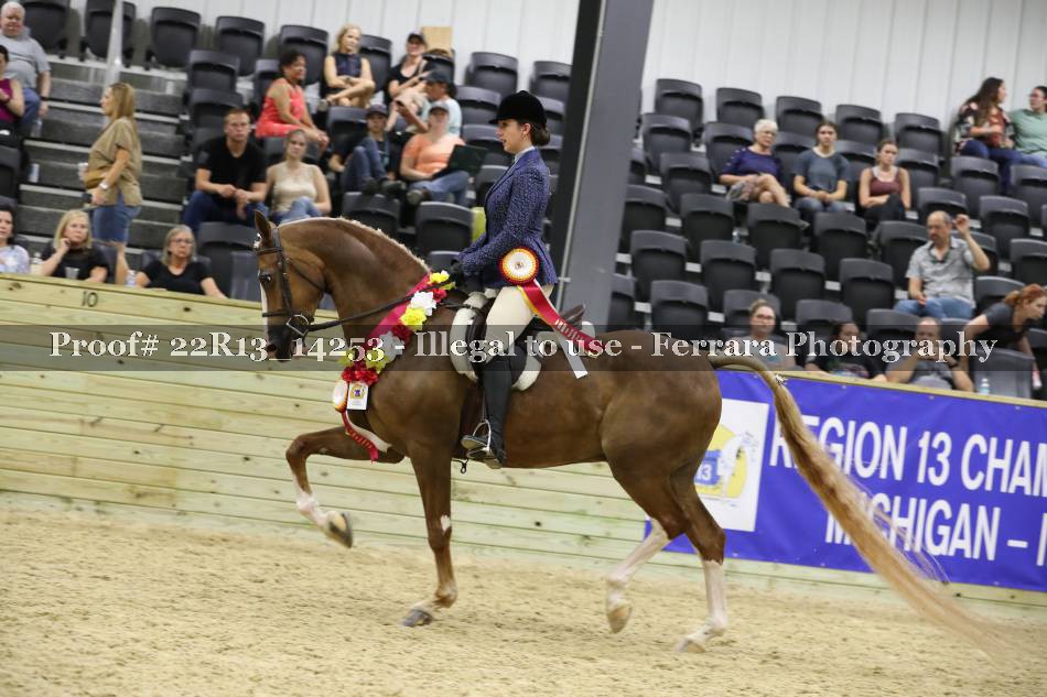 Proof 22R13_14253