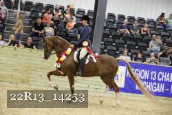 22R13_14253 proof