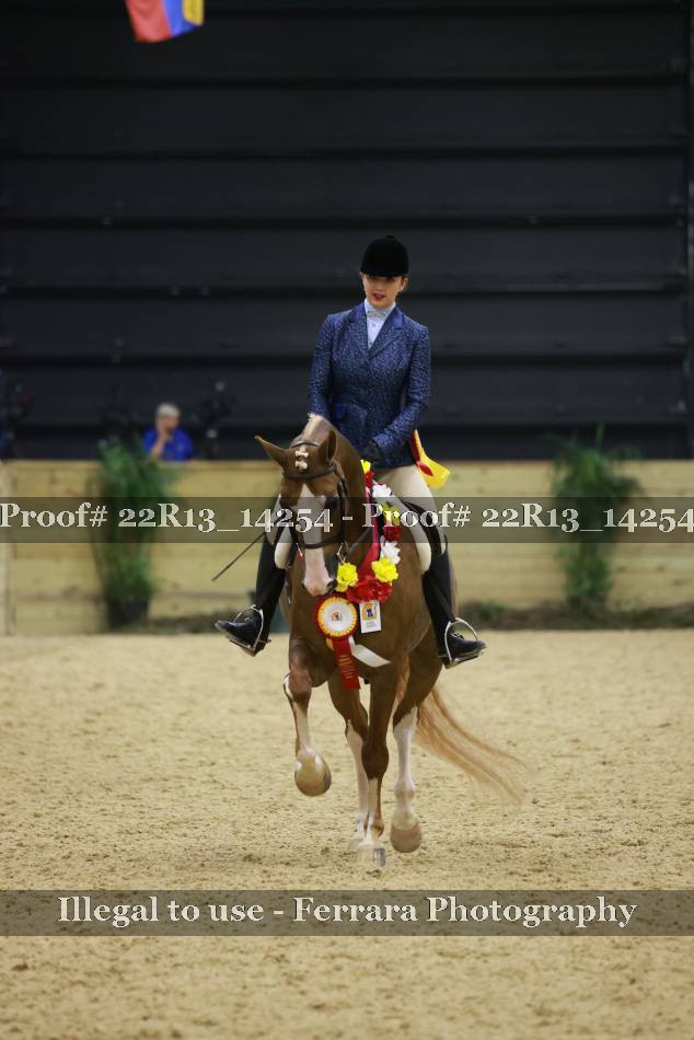 Proof 22R13_14254