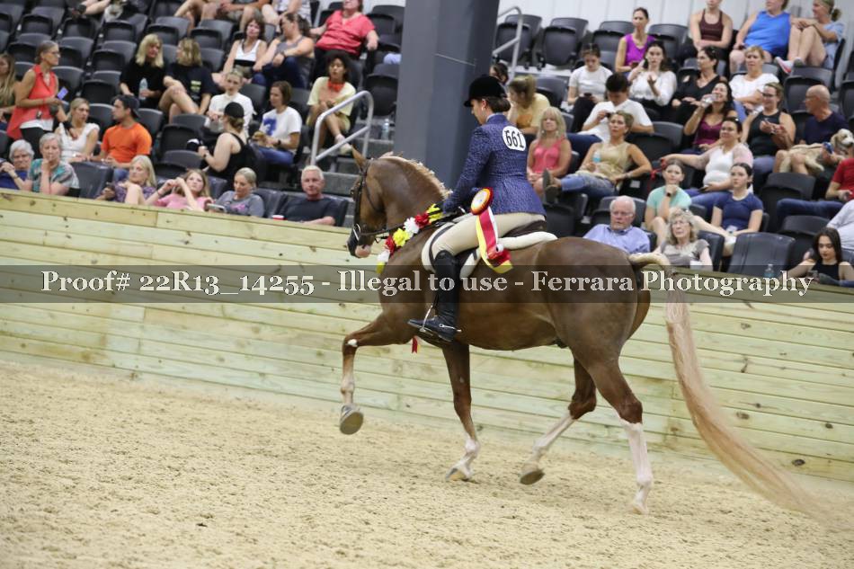 Proof 22R13_14255