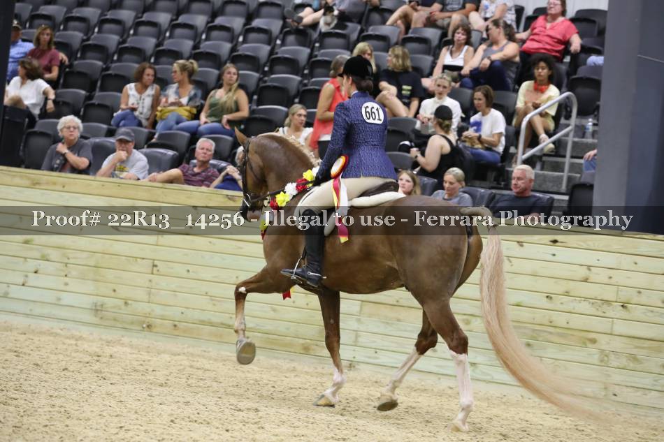 Proof 22R13_14256
