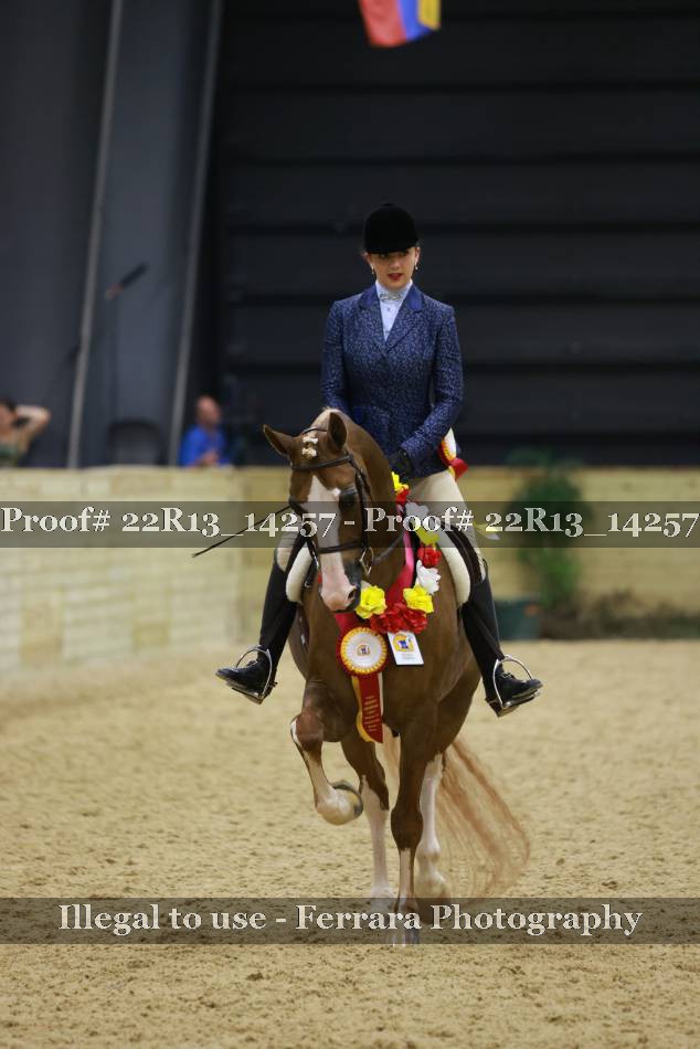 Proof 22R13_14257