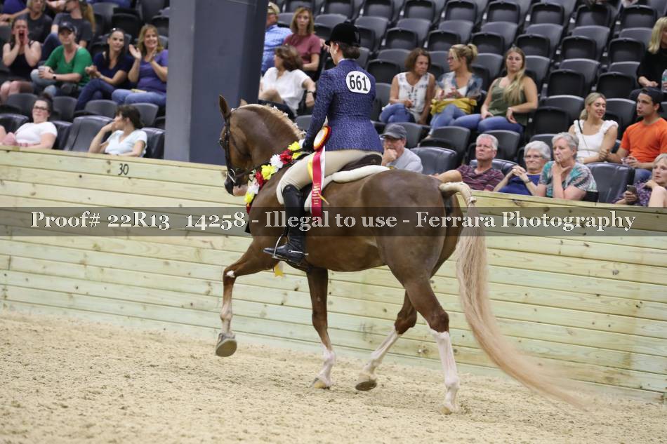Proof 22R13_14258