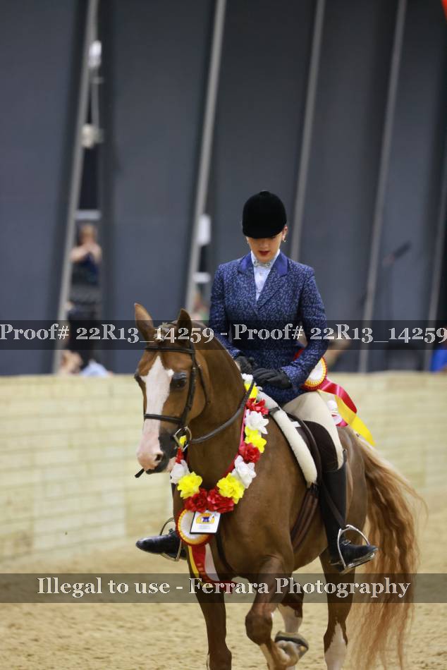 Proof 22R13_14259
