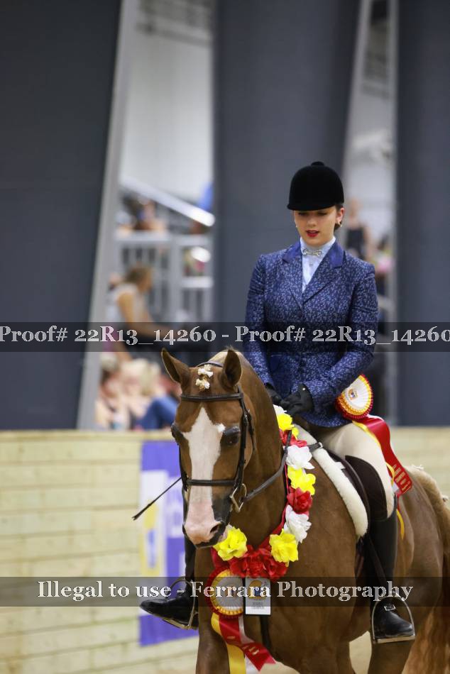 Proof 22R13_14260