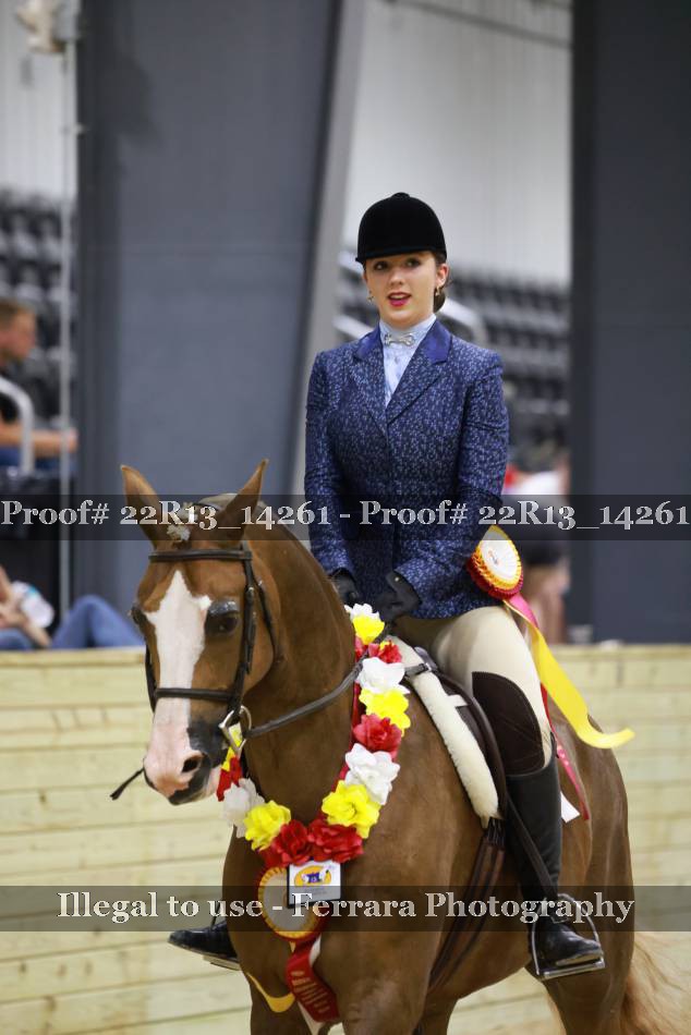 Proof 22R13_14261