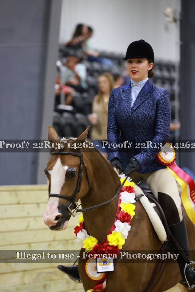 Proof 22R13_14262