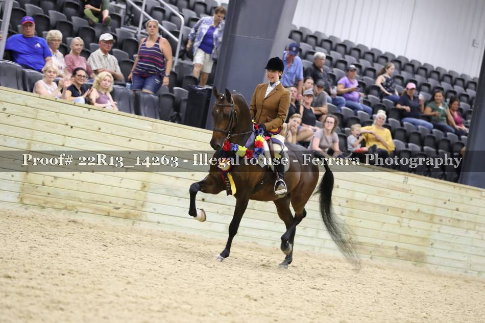 Proof 22R13_14263