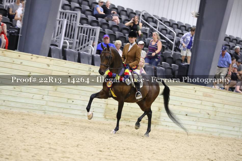 Proof 22R13_14264
