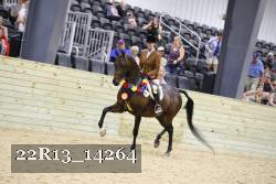 22R13_14264 proof