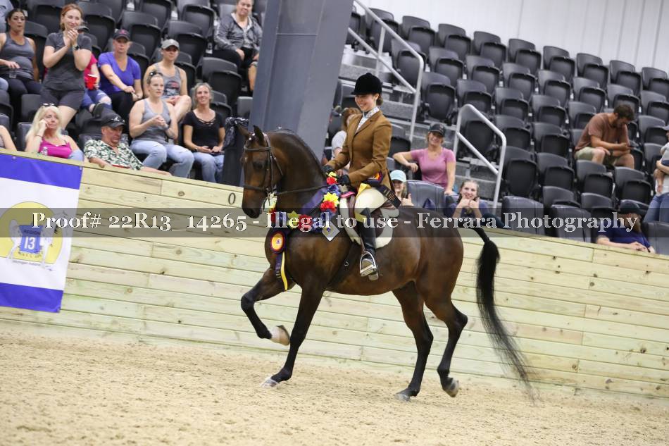 Proof 22R13_14265