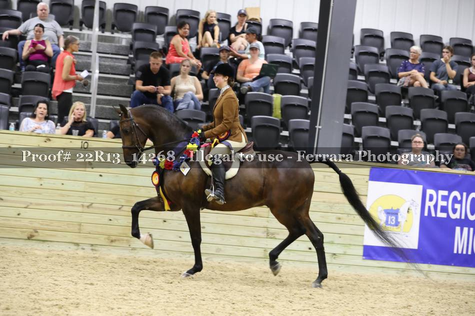Proof 22R13_14268