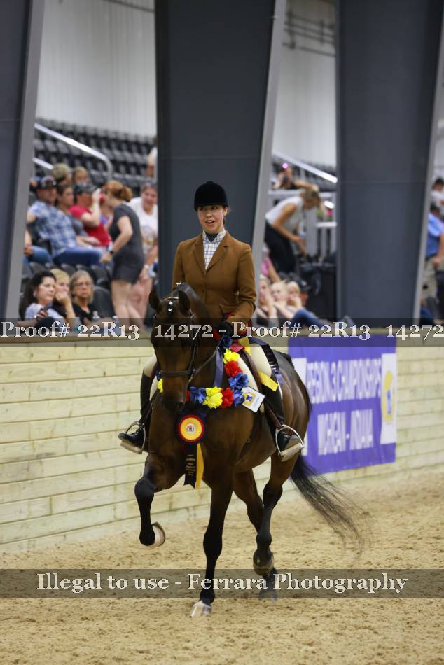 Proof 22R13_14272