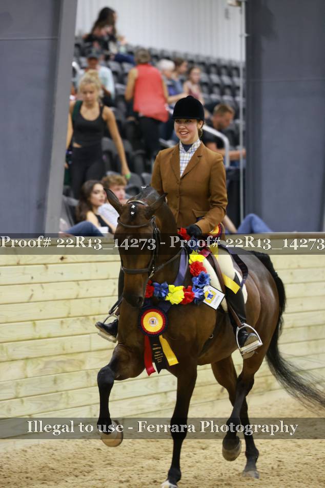 Proof 22R13_14273