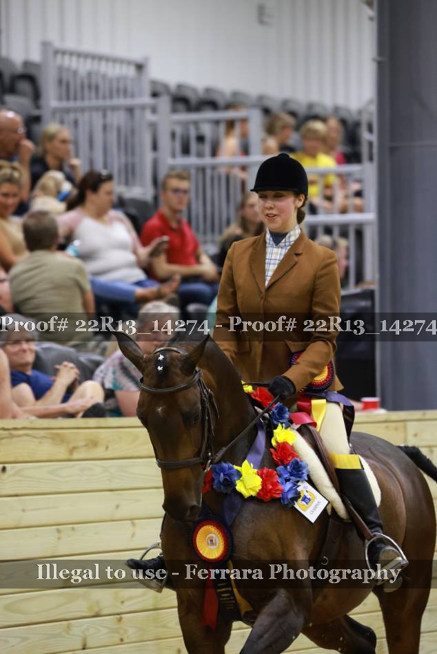 Proof 22R13_14274