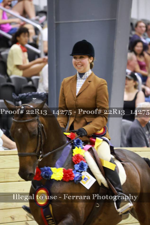 Proof 22R13_14275