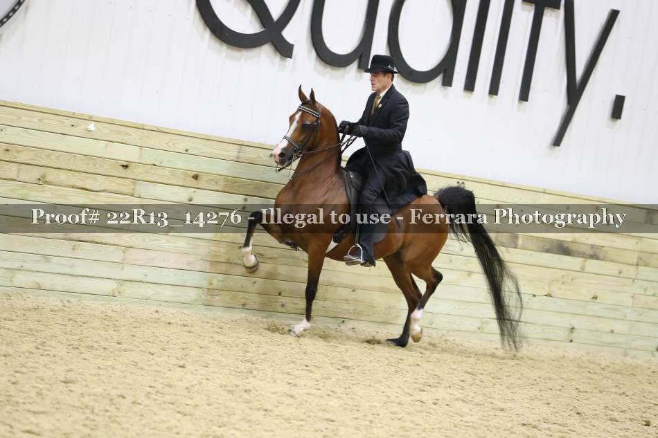 Proof 22R13_14276