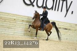22R13_14276 proof