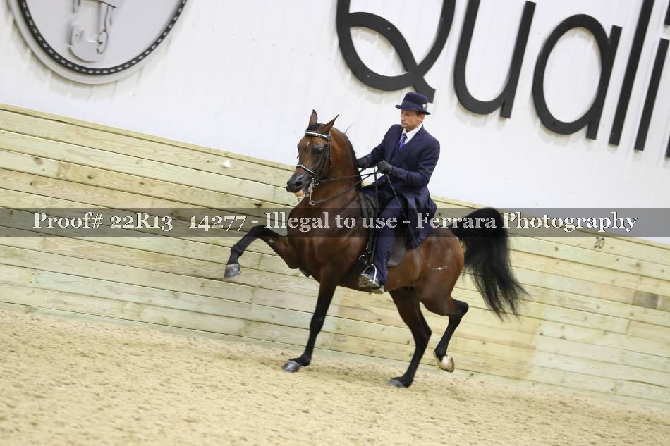 Proof 22R13_14277