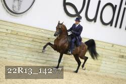 22R13_14277 proof